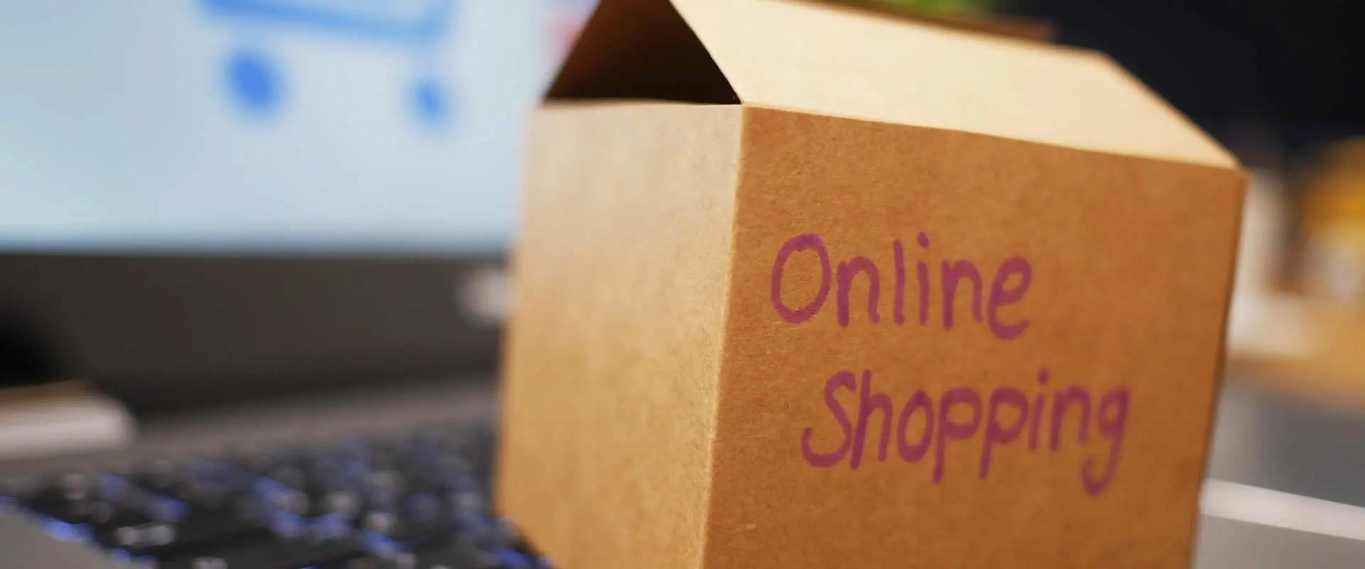 güvenli e-ticaret kurmak